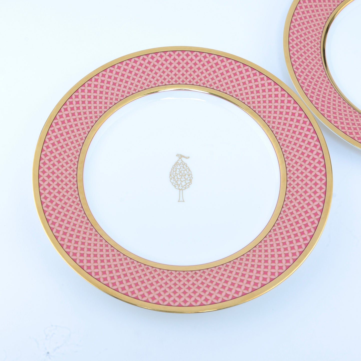 Shakti-  Dinner Set