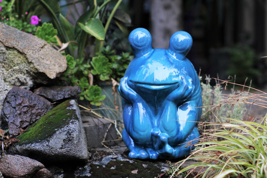 Thinking Frog By Plantatorem